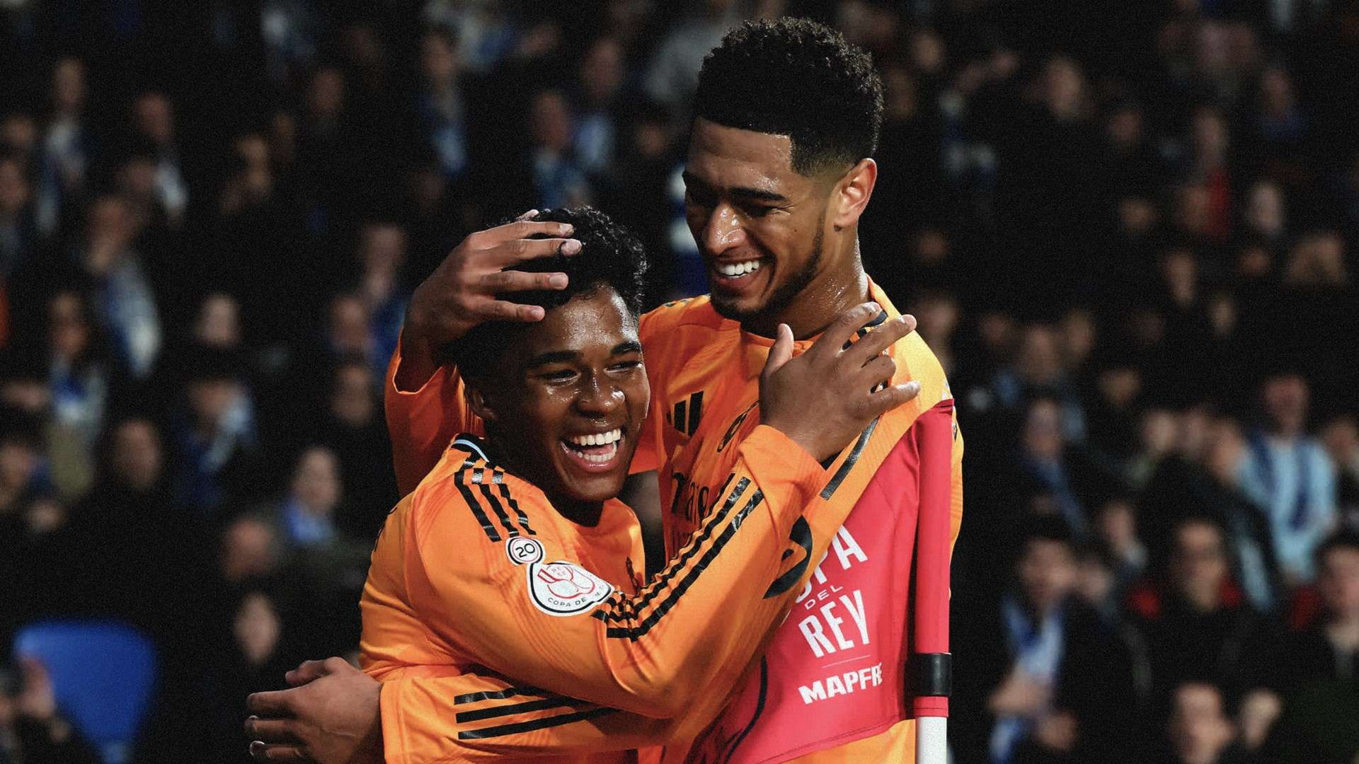 之所以广泛 之所以广泛